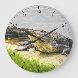 Florida gator stor klocka