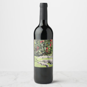 Florida Gators juletikett Vin Vinflaska Etikett