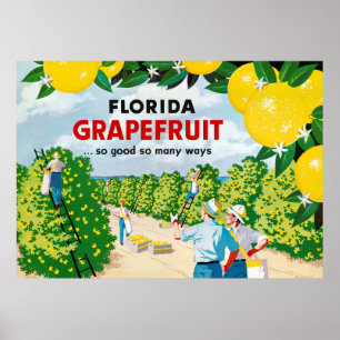 Florida Grapefruit 1930-talet Vintage affisch