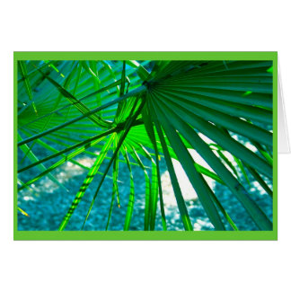 Florida Handflatan OBS Kort