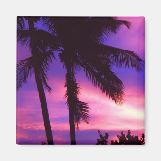 Florida Handflatan Sunset Magnet (Framsidan)