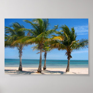 Florida handflatan träd print poster