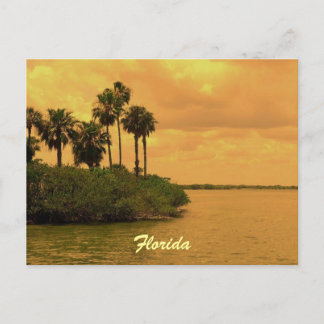 Florida Handflatan Träd Reverie Vykort