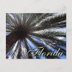 Florida Handflatan Vykort