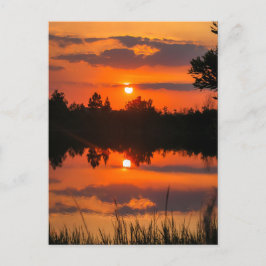 Florida Himlar #5 Vykort