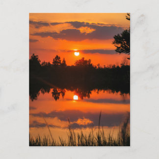 Florida Himlar #5 Vykort