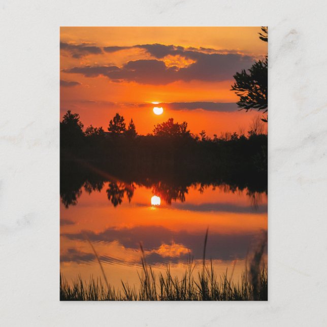 Florida Himlar #5 Vykort (Framsida)