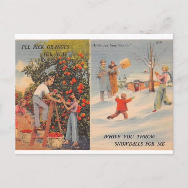 Florida i Winter Vykort (Framsida)