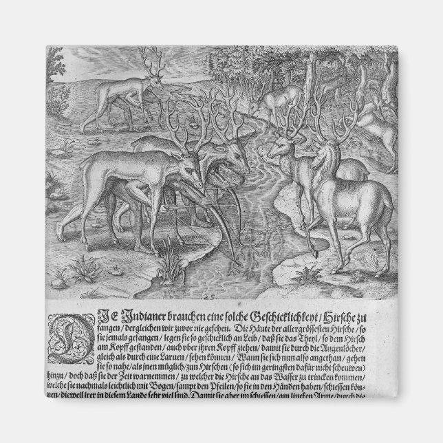 Florida Indians jakt på hjort Magnet (Framsidan)