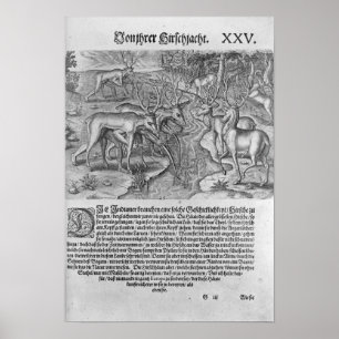 Florida Indians jakt på hjort Poster