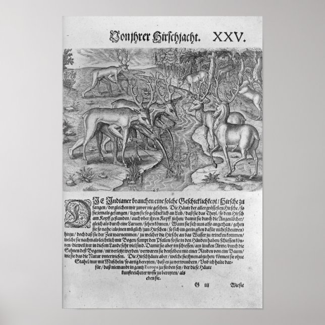 Florida Indians jakt på hjort Poster (Framsidan)