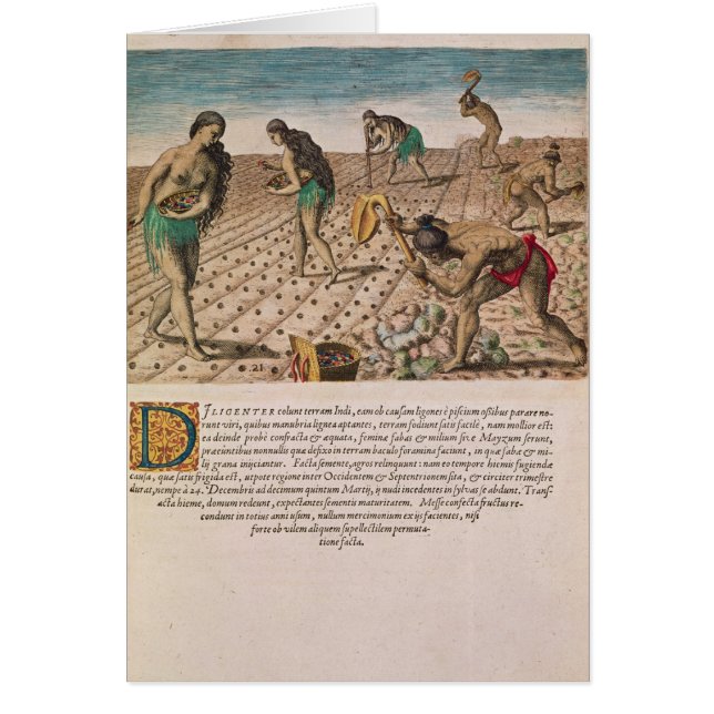 Florida indier som planterar maize hälsningskort (Framsidan)