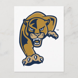 Florida Internationell Universiteten Panthers Vykort