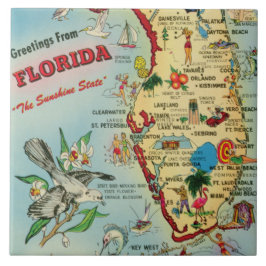 Florida Karta Ceramic Tile Kakelplatta