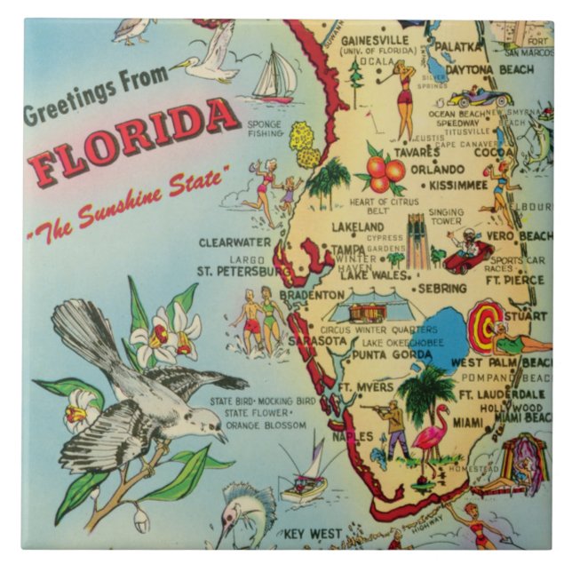 Florida Karta Ceramic Tile Kakelplatta (Framsidan)