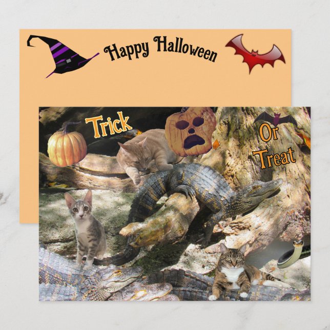 Florida Katt och Alligator Platt Välkomstkort Julkort (Fram/baksida)