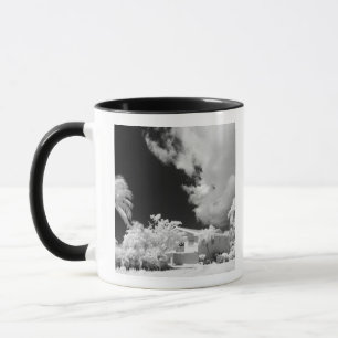 Florida Keys hus och dess palmer, USA. Mugg