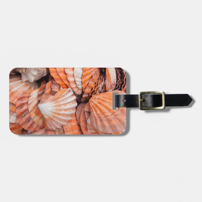 Florida Keys, Key West, snigelskal Bagagebricka (Horisontell Framsida)