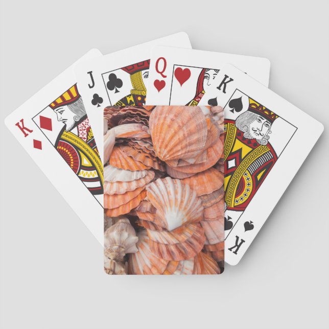 Florida Keys, Key West, snigelskal Casinokort (Baksidan)