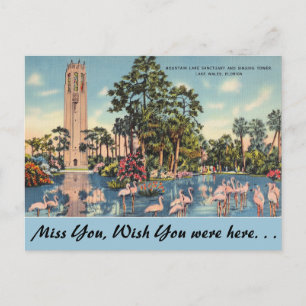 Florida, Lake Wales, Bok Singing Tower Vykort