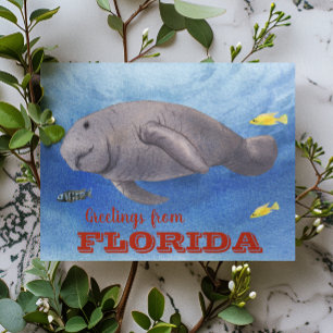 Florida Lamantin Akvarell under vattnet Vykort