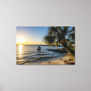 Florida Leaning Handflatan Träd Sunset Canvas