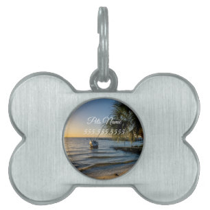 Florida Leaning Handflatan Träd Sunset Pet Tag ID-bricka Husdjur