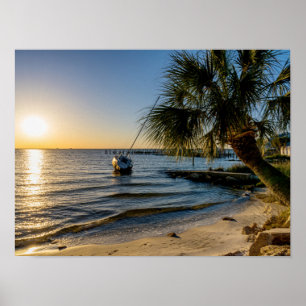 Florida Leaning Handflatan Träd Sunset Poster