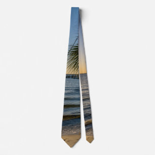 Florida Leaning Handflatan Träd Sunset Tie Slips