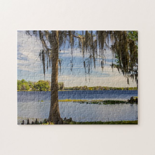 Florida Ligcape Jigszle Puzzle Pussel (Horisontell)