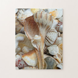 Florida Lightning Whelk Seashells Puzzle Pussel