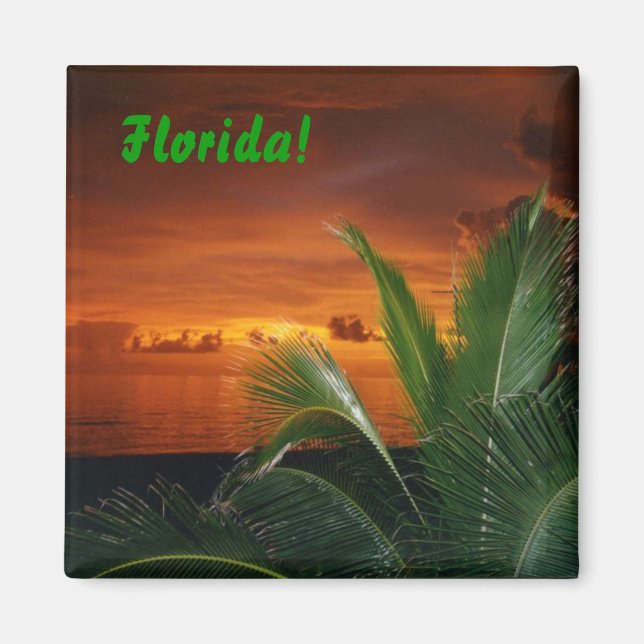 Florida! Magnet (Framsidan)