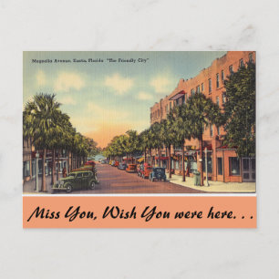 Florida, Magnolia Ave. Eustis Vykort