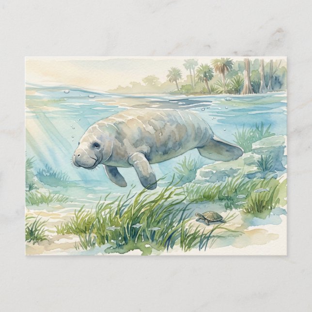 Florida Manatee Akvarell Vykort (Framsida)