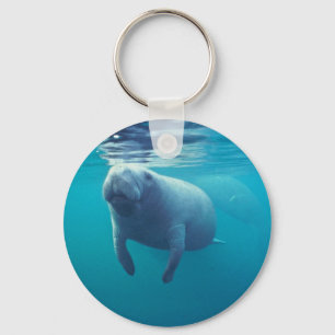 Florida Manatee Nyckelring