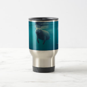 Florida Manatee Resemugg