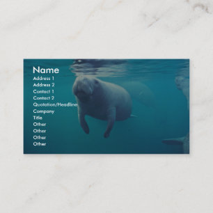 Florida Manatee Visitkort