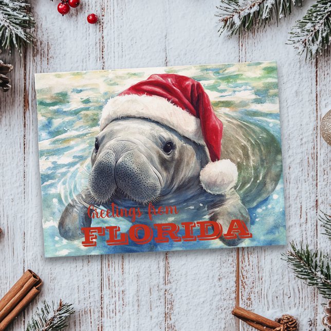 Florida Manatee Watercolor jul Vykort (Skapare uppladdad)