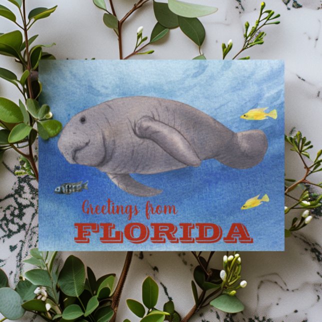 Florida Manatee Watercolor under water Vykort (Skapare uppladdad)