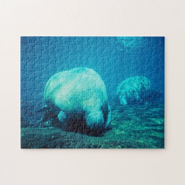 Florida Manateepussel Pussel (Horisontell)