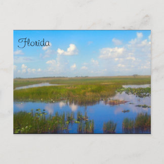 Florida Marsh Postcard Vykort