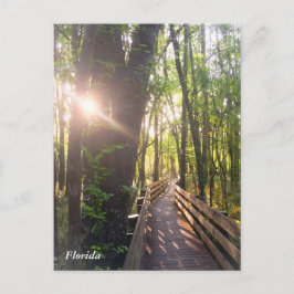 Florida Morgon - vykort