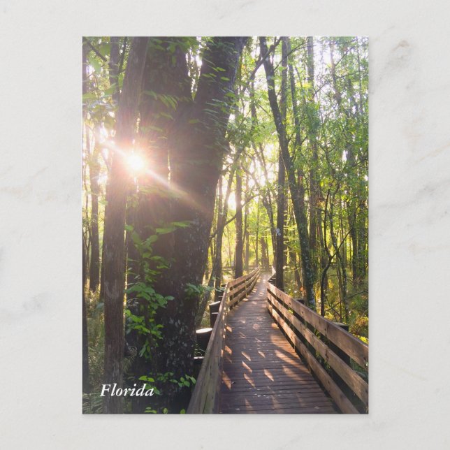Florida Morgon - vykort (Framsida)
