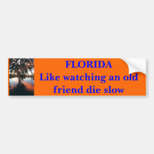 FLORIDA något liknande som håller ögonen på en Bildekal