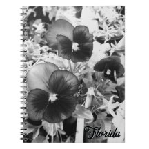 Florida Nature Photo Artistic Monochrome Pansy