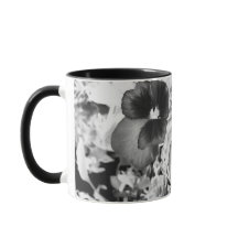Florida Nature Photo Artistic Monochrome Pansy
