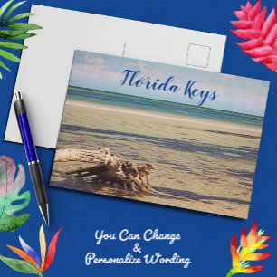Florida Nycklar Bahia Honda Driftwood Beach Vykort