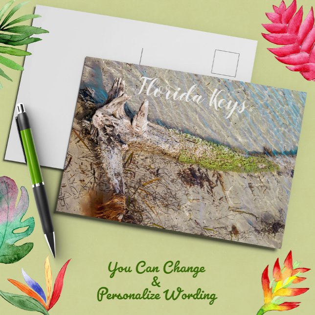 Florida Nycklar Bahia Honda Driftwood Shore Vykort (Skapare uppladdad)