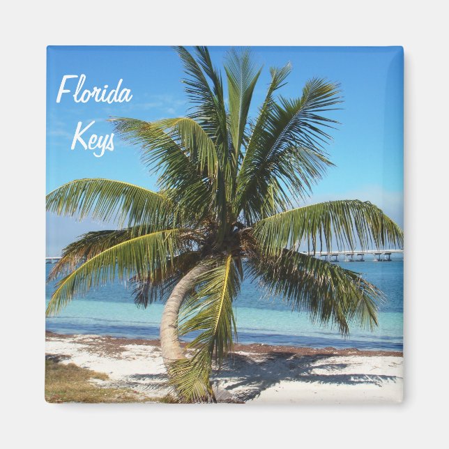 Florida Nycklar Bahia Honda State Park Handflatan  Magnet (Framsidan)