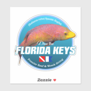Florida Nycklar (DD2) Klistermärken